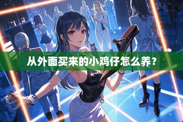 从外面买来的小鸡仔怎么养？