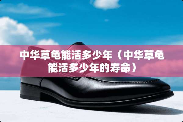 中华草龟能活多少年（中华草龟能活多少年的寿命）