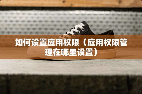 如何设置应用权限（应用权限管理在哪里设置）