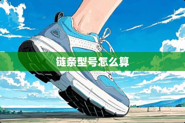 链条型号怎么算