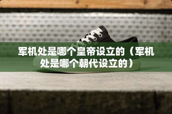 军机处是哪个皇帝设立的（军机处是哪个朝代设立的）