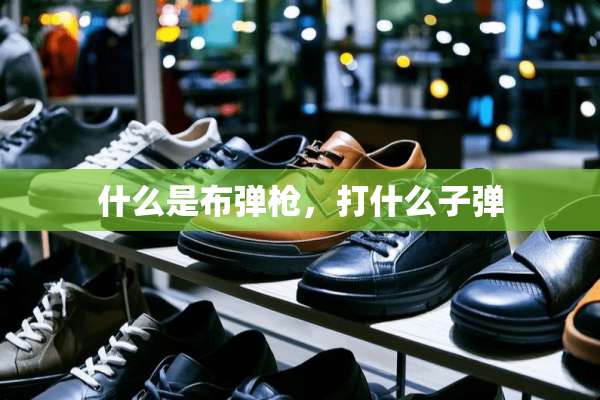 什么是布弹*，打什么**
