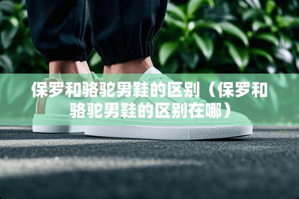 保罗和骆驼男鞋的区别（保罗和骆驼男鞋的区别在哪）