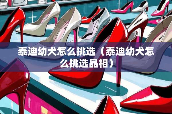 泰迪幼犬怎么挑选（泰迪幼犬怎么挑选品相）
