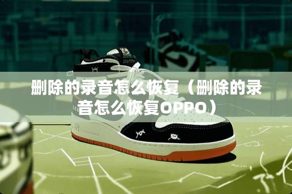 删除的录音怎么恢复（删除的录音怎么恢复OPPO）