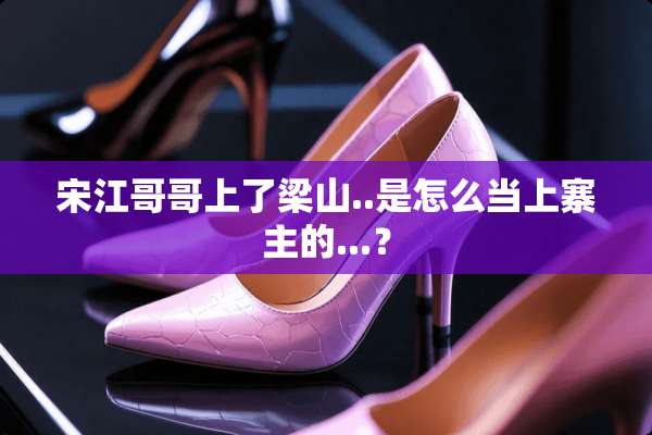 宋**哥上了梁山..是怎么当上寨主的...？