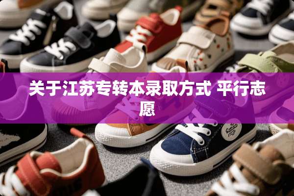 关于江苏专转本录取方式 平行志愿