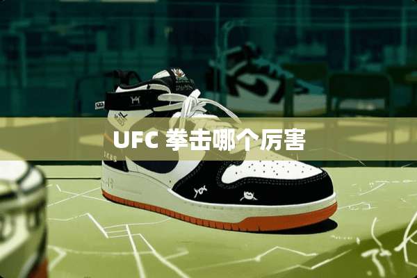 UFC 拳击哪个厉害