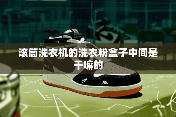 滚筒洗衣机的洗衣粉盒子中间是干嘛的