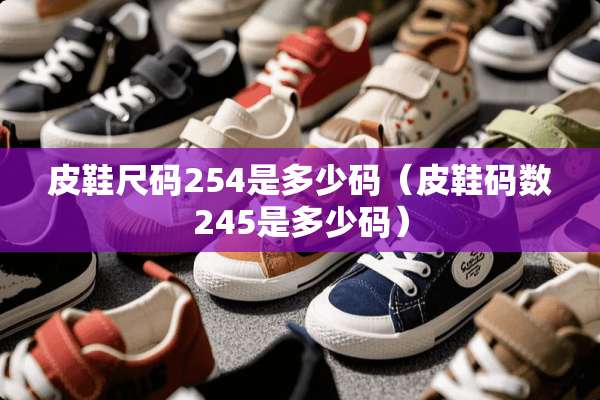 皮鞋尺码254是多少码（皮鞋码数245是多少码）