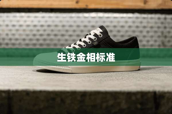 生铁金相标准