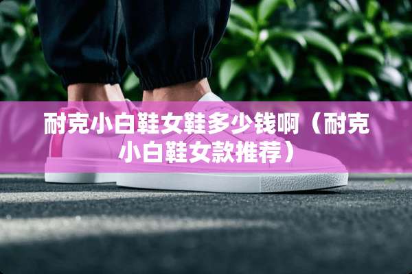 耐克小白鞋女鞋多少钱啊（耐克小白鞋女款推荐）