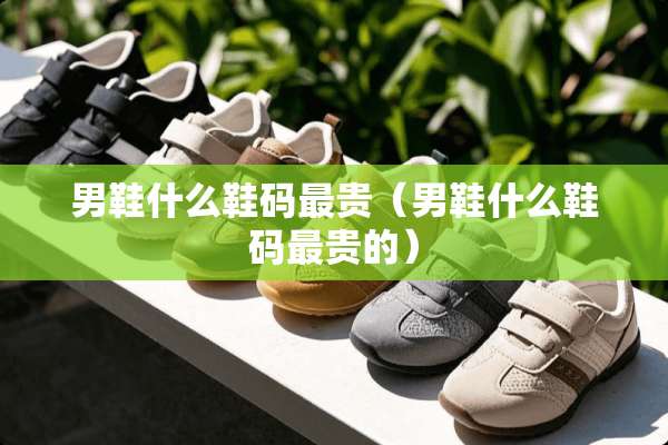 男鞋什么鞋码最贵（男鞋什么鞋码最贵的）