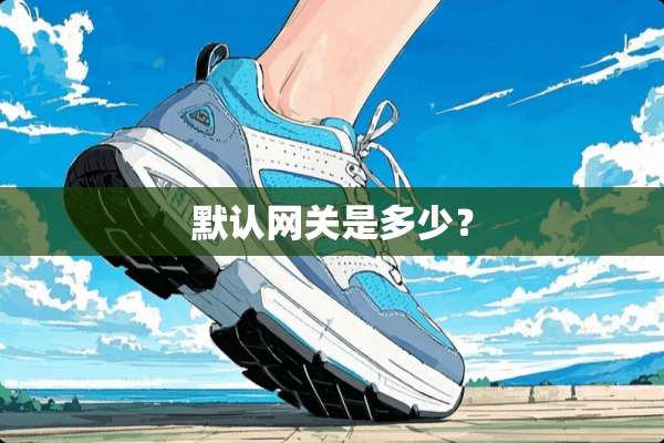 默认网关是多少？