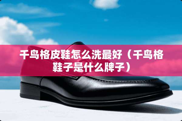 千鸟格皮鞋怎么洗最好（千鸟格鞋子是什么牌子）