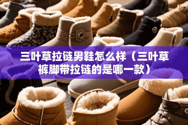 三叶草拉链男鞋怎么样（三叶草裤脚带拉链的是哪一款）