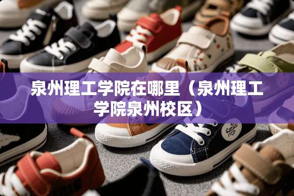 泉州理工学院在哪里（泉州理工学院泉州校区）