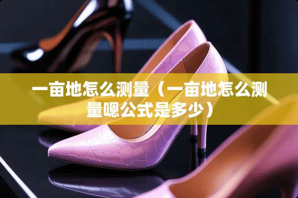 一亩地怎么测量（一亩地怎么测量嗯公式是多少）