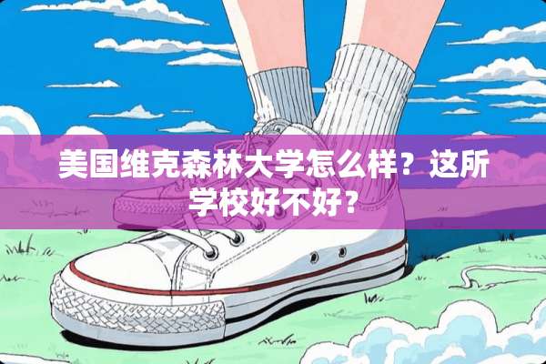 美国维克森林大学怎么样？这所学校好不好？