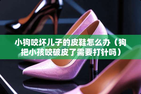 小狗咬坏儿子的皮鞋怎么办（狗把小孩咬破皮了需要打针吗）