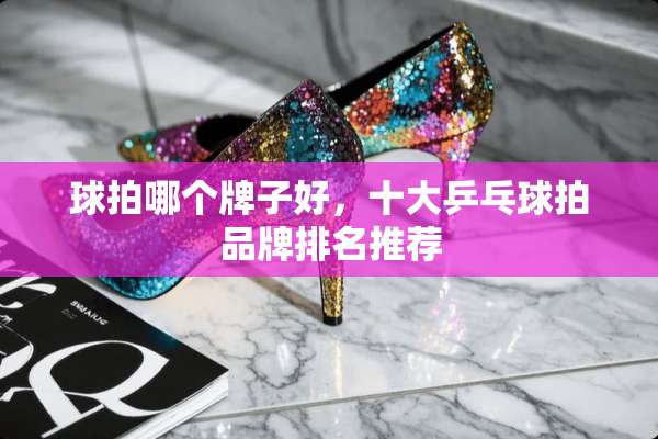球拍哪个牌子好，十大乒乓球拍品牌排名推荐
