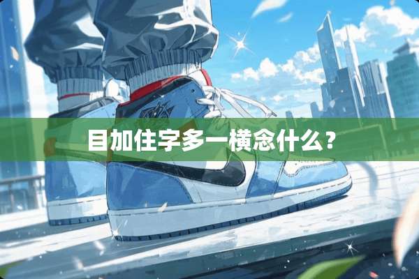 目加住字多一横念什么？