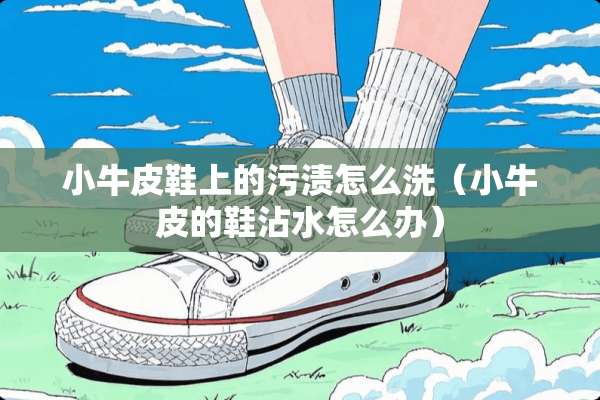 小牛皮鞋上的污渍怎么洗（小牛皮的鞋沾水怎么办）