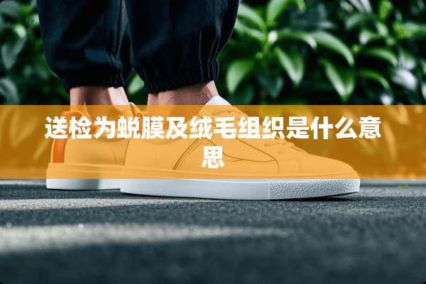 送检为蜕膜及绒毛组织是什么意思