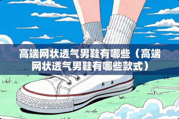 高端网状透气男鞋有哪些（高端网状透气男鞋有哪些款式）