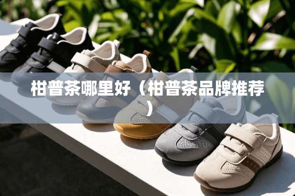柑普茶哪里好（柑普茶品牌推荐）