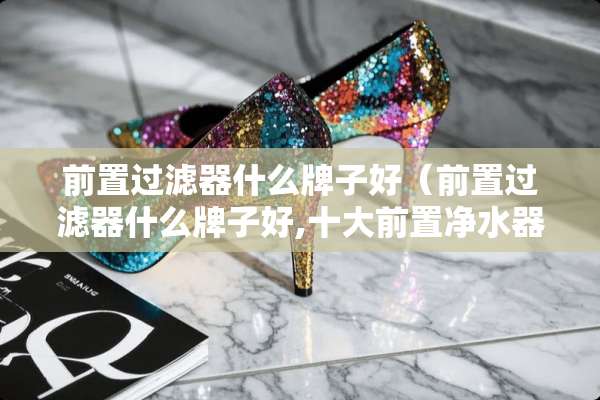 前置过滤器什么牌子好（前置过滤器什么牌子好,十大前置***排名）