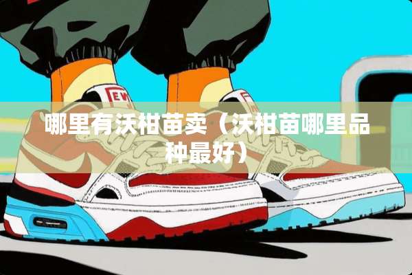 哪里有沃柑苗卖（沃柑苗哪里品种最好）