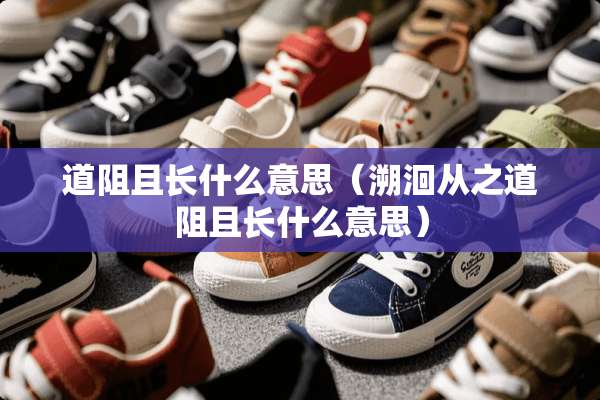 道阻且长什么意思（溯洄从之道阻且长什么意思）