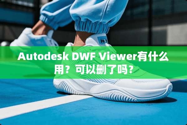 Autodesk DWF Viewer有什么用？可以删了吗？
