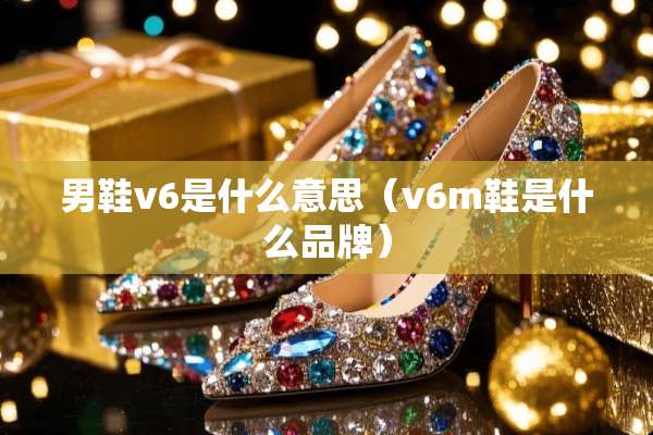 男鞋v6是什么意思（v6m鞋是什么品牌）