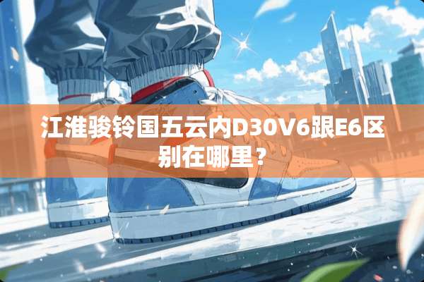 江淮骏铃国五云内D30V6跟E6区别在哪里？
