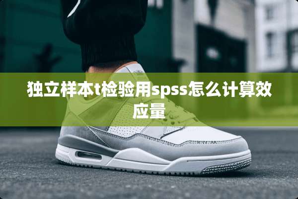 **样本t检验用spss怎么计算效应量