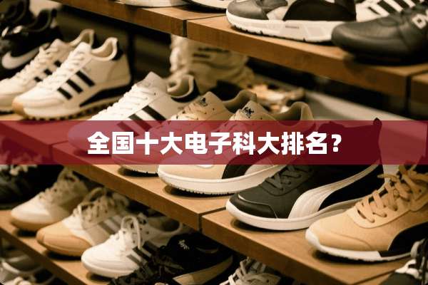 全国十大电子科大排名？
