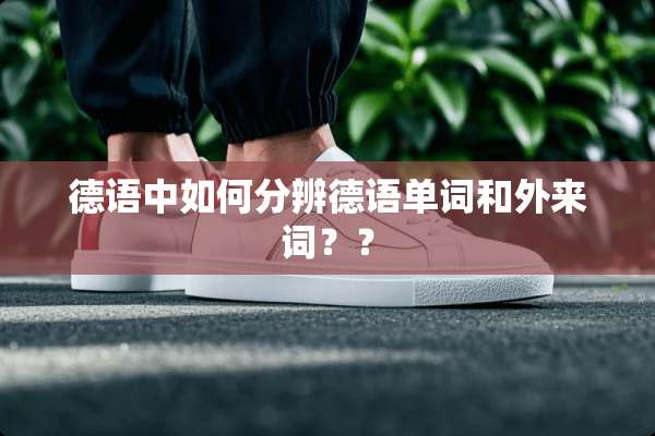 德语中如何分辨德语单词和外来词？？