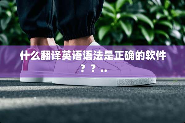 什么翻译英语语法是正确的软件？？..