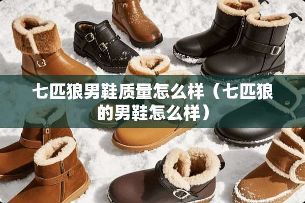 七匹狼男鞋质量怎么样（七匹狼的男鞋怎么样）
