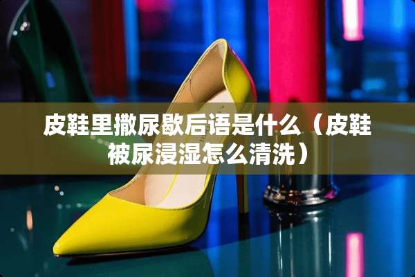 皮鞋里撒尿歇后语是什么（皮鞋被尿浸湿怎么清洗）