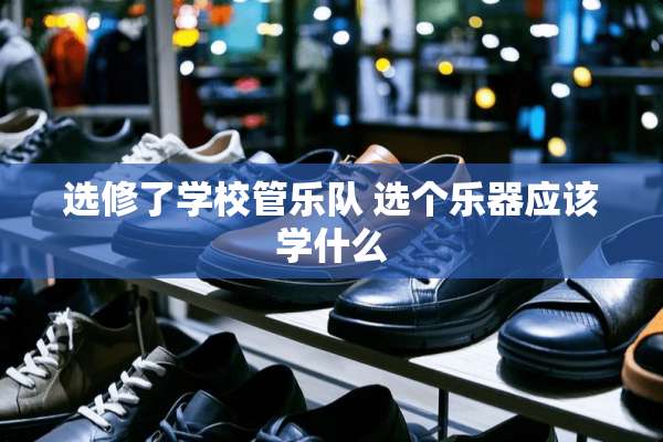 选修了学校管乐队 选个乐器应该学什么