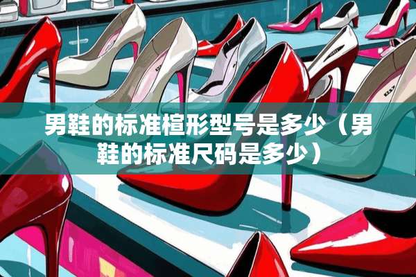 男鞋的标准楦形型号是多少（男鞋的标准尺码是多少）