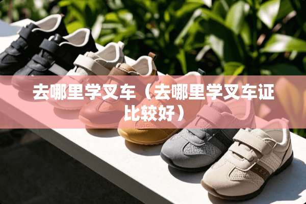 去哪里学叉车（去哪里学叉车证比较好）