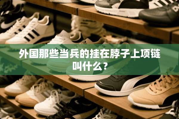 外国那些当兵的挂在脖子上项链叫什么？