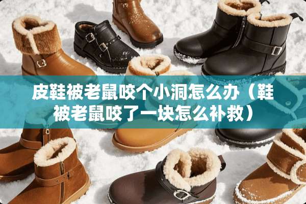 皮鞋被老鼠咬个小洞怎么办（鞋被老鼠咬了一块怎么补救）