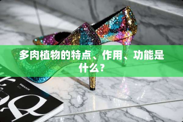 多肉植物的特点、作用、功能是什么？
