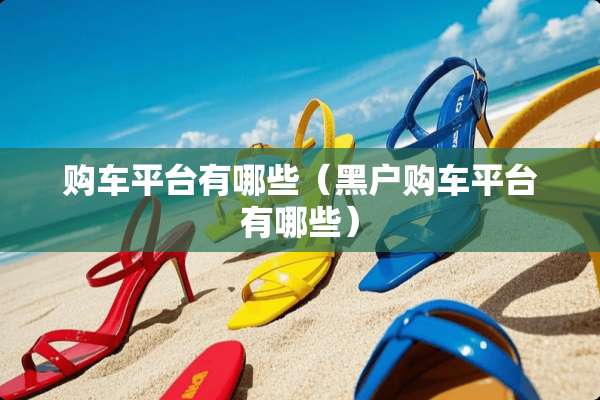 购车平台有哪些（黑户购车平台有哪些）