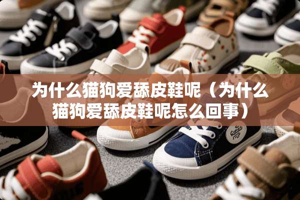 为什么猫狗爱舔皮鞋呢（为什么猫狗爱舔皮鞋呢怎么回事）